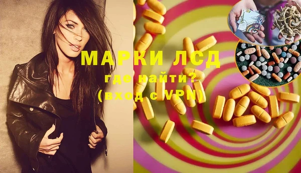 сатива Мегион