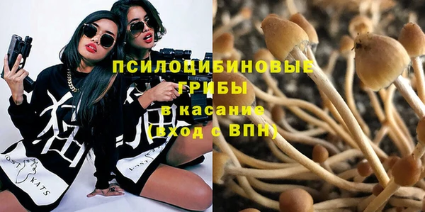 мяу мяу мука Медногорск