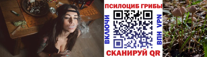 Галлюциногенные грибы MAGIC MUSHROOMS Новокузнецк